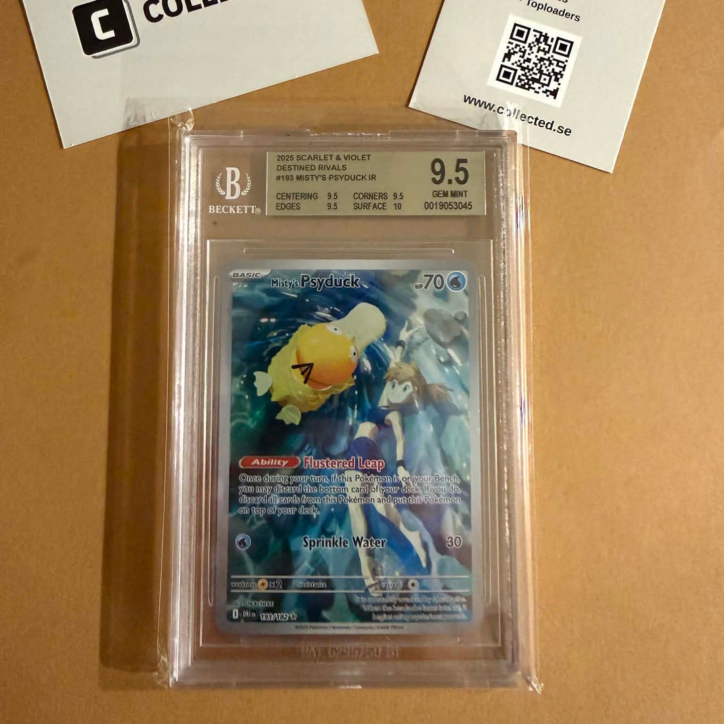 Misty's Psyduck (DRI 193) - Illustration Rare - Beckett 9.5